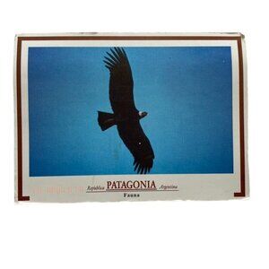 Vintage Postcard Patagonia Argentina Eagle Flying Posted u